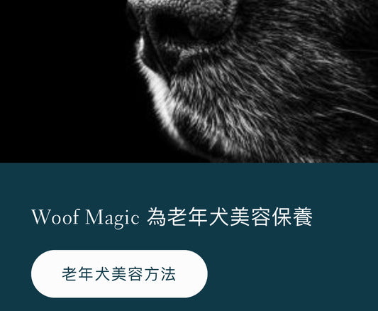 Woof Magic 為老年犬而設計的美容保養過程